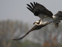 04-26-09-Rt 4 2513 1