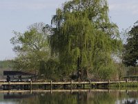 04-26-09-Rt 4 2570