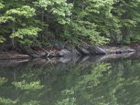 05-16-09-Rocky Gorge-IMG 2870