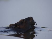 06-07-09-Mattawoman-IMG 3415