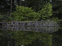 07-05-09-Rocky Gorge-IMG 4402