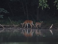 07-05-09-Rocky Gorge-IMG 4432