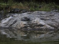 08-30-09-Rocky Gorge-IMG 5766