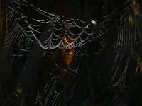 09-06-09-Rt 4-IMG 5956