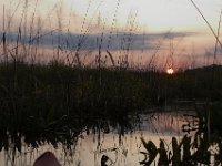 09-19-09-Mattawoman-IMG 6282