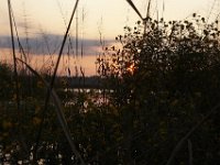 09-19-09-Mattawoman-IMG 6298