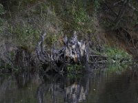 09-19-09-Mattawoman-IMG 6419