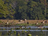 09-19-09-Mattawoman-IMG 6446
