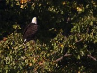 10-04-09-Rocky Gorge-IMG 6698