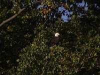 10-04-09-Rocky Gorge-IMG 6719