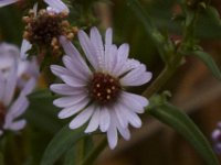 10-12-09-Selbys Landing-7271