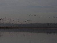 11-15-09-Rt  4-8026