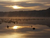 11-21-09-Mattawoman-8238