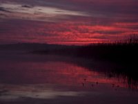 Mattawoman-11-21-09-8182