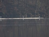 11-29-09-Triadelphia-8540