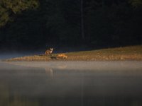 09-18-10-Rocky Gorge-4152