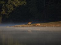 09-18-10-Rocky Gorge-4156