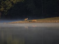 09-18-10-Rocky Gorge-4158