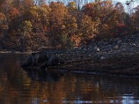11-13-10-Rocky Gorge-7435