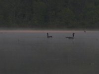 05-01-11-Piscatatway-9871