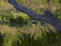 05-07-11-Mattawoman-0271