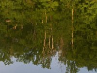 05-29-11-Rocky Gorge-0738