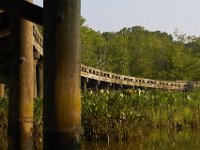05-31-11-Mattaponi-1240