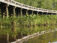 05-31-11-Mattaponi-1247