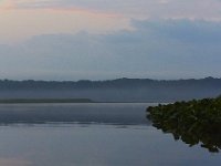 06-18-11-Mattawoman