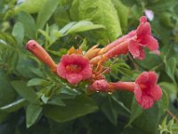 06-18-11-Mattawoman-1799