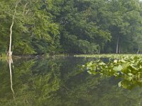 06-18-11-Mattawoman-1990
