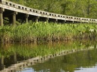 06-24-11-Mattaponi-2196
