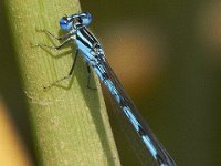 06-24-11-Mattaponi-2305