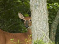 06-26-101-Piscataway-2609