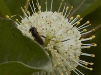 06-26-101-Piscataway-2651