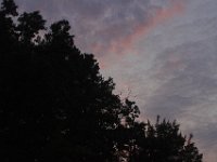 07-04-11-Triadelphia Lake