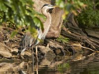 07-04-11-Triadelphia Lake-3544