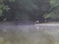 07-09-11-West Rocky Gorge-3605