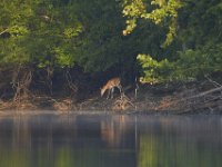 07-09-11-West Rocky Gorge-3636