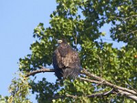 07-09-11-West Rocky Gorge-3743