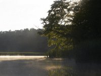 07-16-11-Skipton Creek-4026