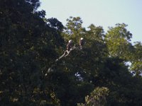 07-16-11-Skipton Creek-4113