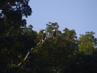 07-16-11-Skipton Creek-4128