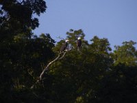 07-16-11-Skipton Creek-4131