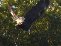 07-16-11-Skipton Creek-4136