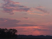 07-30-11-Mattawoman-6701