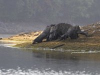 08-21-11-Rocky Gorge-8050