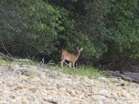 09-03-11-Rocky Gorge