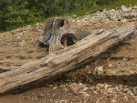 09-03-11-Rocky Gorge-8320