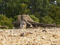 09-03-11-Rocky Gorge-8365